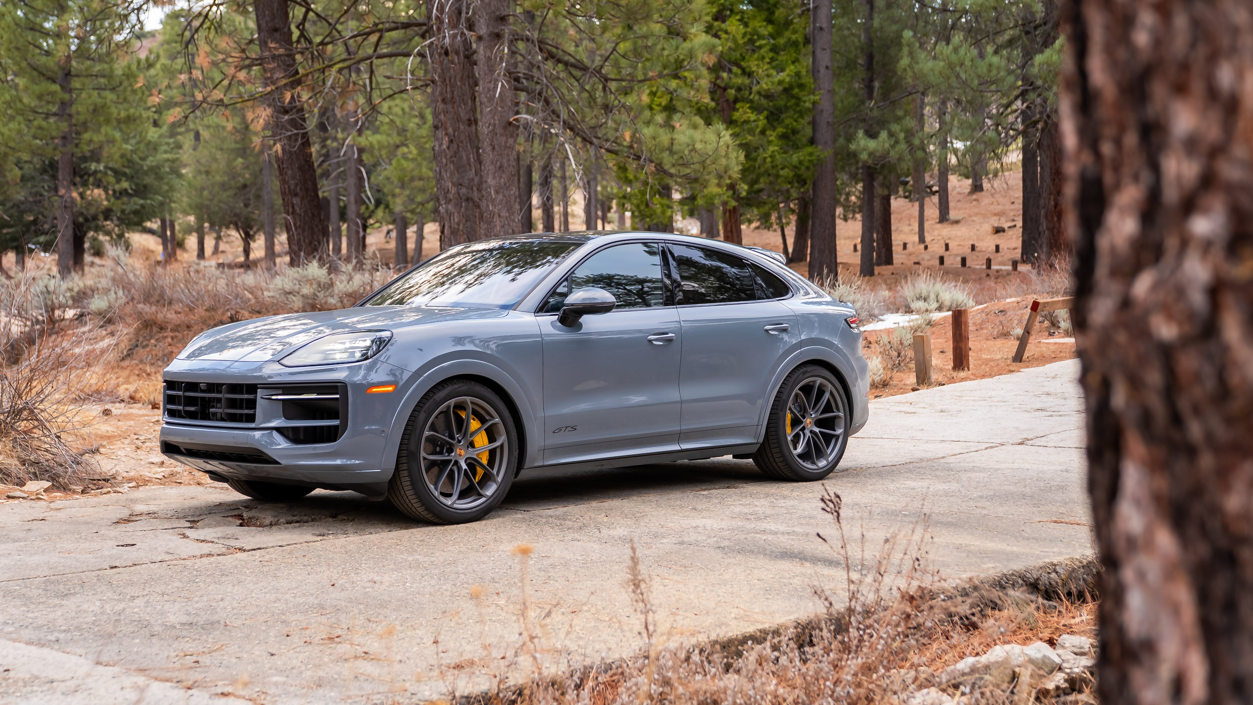 The 2025 Porsche Cayenne GTS