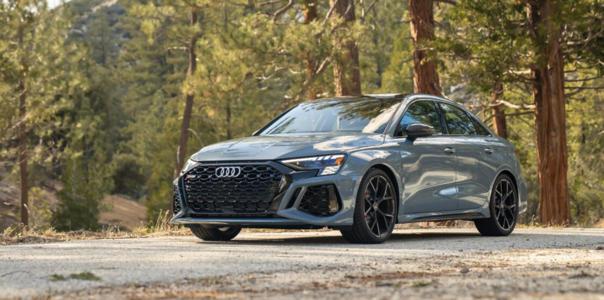 The 2024 Audi RS 3 